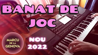 Instrumentala banat de joc miscat sarbeasca la orga 2022 nou muzica de petrecere banateana [upl. by Adnilra]