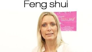 Feng shui  se méfier du Tai Sui [upl. by Dnalevelc]