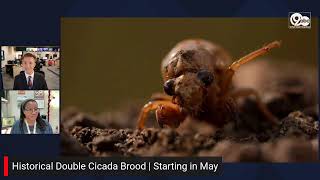 Historical Cicada Brood 2024 [upl. by Carolann]