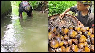 River Mussels  Corbicula  Catching Cooking And Eating Mussels  Nutritious Village Food [upl. by Newberry]