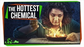 Whats the Hottest Chemical in the World [upl. by Pedaias]