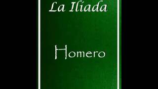 LA ILIADA  HOMERO AUDIOLIBRO COMPLETO CANTO 224 [upl. by Alcine]