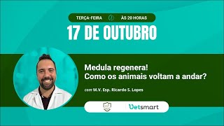 Medula regenera Como os animais voltam a andar [upl. by Lewert]