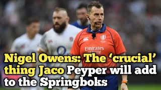 Nigel Owens The ‘crucial’ thing Jaco Peyper will add to the Springboks [upl. by Eiramannod]