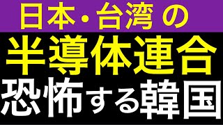 台湾tsmc熊本工場設立が気になる韓国。日本の半導体産業復活に恐れおののき日本・米国・台湾の半導体同盟に疎外感を抱く。 [upl. by Bobbie]