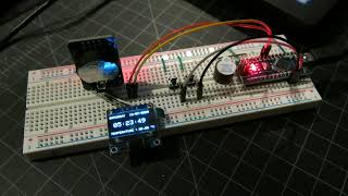 Arduino Nano with DS3231 Clock Module and SSD1306 OLED [upl. by Nymzaj638]