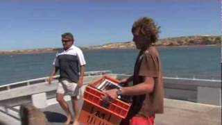 How to Catch Crayfish in Kalbarri Western Australia [upl. by Gresham]