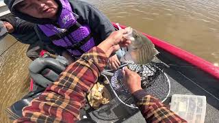 Clarks Hill Lake Fishing BASS amp STRIPERS [upl. by Hgielak]