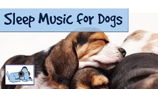 Sleep Music for Dogs and Puppies Relaxing Music for Dogs by RelaxMyDog  Try today Amazing [upl. by Aiyram]