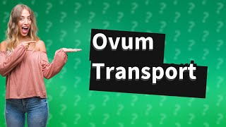 How is an ovum transported from the ovary to the uterus [upl. by Tema]