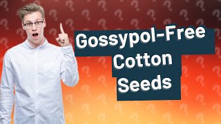 Is cotton seed safe to eat [upl. by Enoob211]