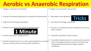 Aerobic vs Anaerobic Respiration Understanding the Differences BiologyLectures [upl. by Eiznikcm]