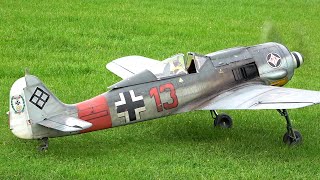 RC FW190  14 SCALE  MOKI 250 [upl. by Nnek]