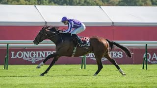 ILLINOIS wins the G2 Qatar Prix Chaudenay [upl. by Abdella]