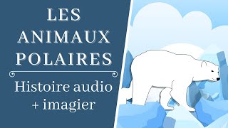 Histoire animaux polaires maternelle et plus  Histoire audio enfant [upl. by Anauqcaj]