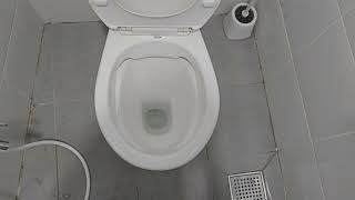 CCPB 2023 Reign Rimless toilet [upl. by Ymorej]