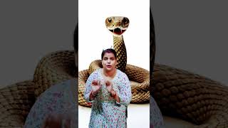 Anaya aur mummy ne zoo me ye kaya dekh liya youtubeshorts [upl. by Rankin]