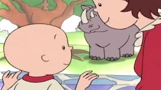 Caillou en Français  Caillou et Laventure au Zoo  dessin animé en francais  conte pour enfant [upl. by Enerehs]