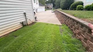 Zoysia Grass My shady backyard testing [upl. by Atiroc720]