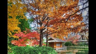 Japanese Garden Fort Worth 2018 [upl. by Kleinstein]