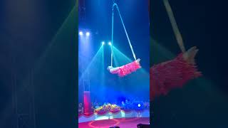 Circus  Nicolas Bouglione circus Part  2 [upl. by Hare]