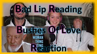 quotBushes of Lovequot  A Bad Lip Reading  Reaction [upl. by Ativet]