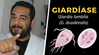 Giardíase Giardia lamblia G duodenalis  Curso de Parasitologia Humana Básica e Clínica [upl. by Hgielek]