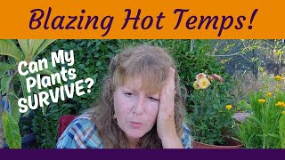 EXTREME HEAT Gardening  7 Ways to Keep Your Garden Happy in High Temps [upl. by Yelsiap912]