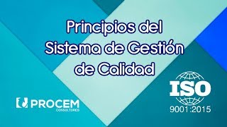 Principios del Sistema de Gestión de Calidad [upl. by Lea]