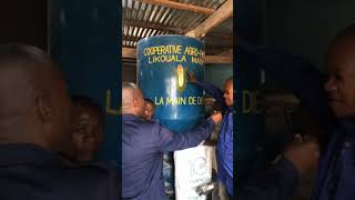 MILLIONNAIRE EN VENDANT ALIMENT BÉTAIL AU CONGO agriculture [upl. by Amle]