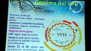 Diagnóstico del virus del Papiloma Humano por PCR [upl. by Ogg]