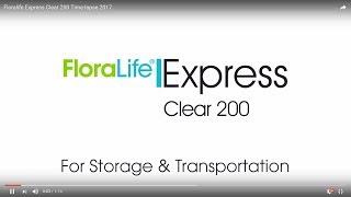 Floralife Express Clear 200 timelapse 2017 July [upl. by Tay]