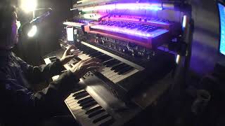 【Improvised cover】 Damage Sylvian amp Flip performed using a Roland SH201 [upl. by Ednargel129]