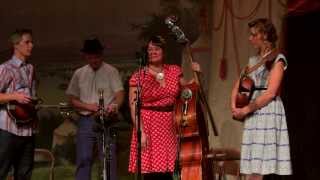 12 Foghorn Stringband 20140118 Distant Land To Roam [upl. by Chapen853]