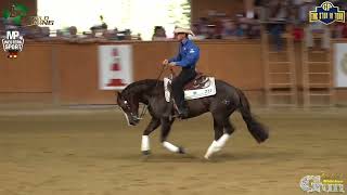 World reining team amp individuals event  World champion Nico Sicuro amp Colonels score 🇮🇹 2285 🇮🇹 [upl. by Neelav62]