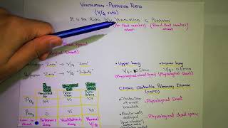 VentilationPerfusion Ratio Chapter 40  part 5 Guyton and hall text book of physiology [upl. by Kobylak814]