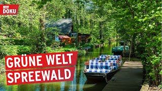 Der Spreewald von oben  Wasserlabyrinth in Brandenburg  Doku amp Reportage [upl. by Aneela]