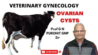 Uncovering the Secrets of Animal Ovarian Cysts What You Need to Know [upl. by Dacey335]