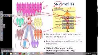 DNA fingerprinting [upl. by Hobart]