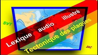 tectonique des plaques svt lexique audio illustré 2 année collège sciences de la vie et de la terre [upl. by Sale655]