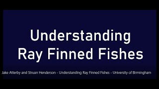 Understanding Ray Finned Fishes  Jake Atterby and Struan Henderson  University of Birmingham [upl. by Neeluj]