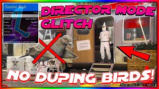 NEW GTA 5 ONLINE DIRECTOR MODE GLITCH WITHOUT DUPING BIRDS AFTER PATCH 158 [upl. by Sharla]