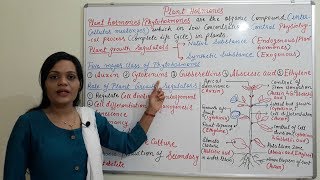 Class 23  Introduction to Plant Hormones and its Application  Types amp Functions of Plant Hormone [upl. by Marci]