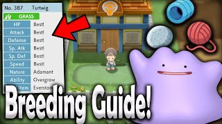 BREEDING GUIDE Natures Perfect IVs Hidden Ability  Pokemon Brilliant Diamond and Shining Pearl [upl. by Chappie]