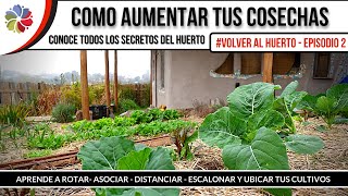 🌱 AUMENTA la PRODUCCIÓN en tu HUERTO  APRENDE las BASES del CULTIVO ORGÁNICO VolverAlHuerto [upl. by Nats]