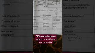 differences between heterochromatin and euchromatin region [upl. by Enovi]