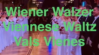 Part 3  Wiener Walzer  Opening Viennese Ball  Vienna Austria 🇦🇹 [upl. by Archambault]