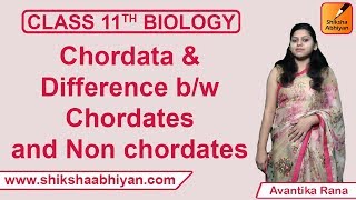 CBSE Class 11 Biology  Nonchordates  I  By Shiksha House [upl. by Aztiram]