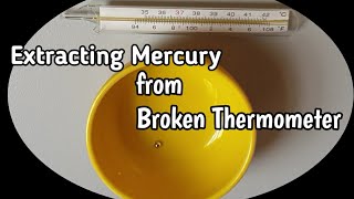 Extracting Mercury from Broken Thermometer 🌡  by Abijah  Exciting and satisfying [upl. by Joane473]