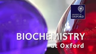 Biochemistry Molecular and Cellular at Oxford University [upl. by Jarlathus]